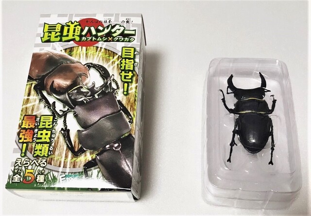 日本の夏 昆虫の夏を食玩で再現 アキバ総研