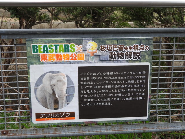 アニメ好き担当者が振り返る東武動物公園コラボ企画の歴史！ - アキバ総研