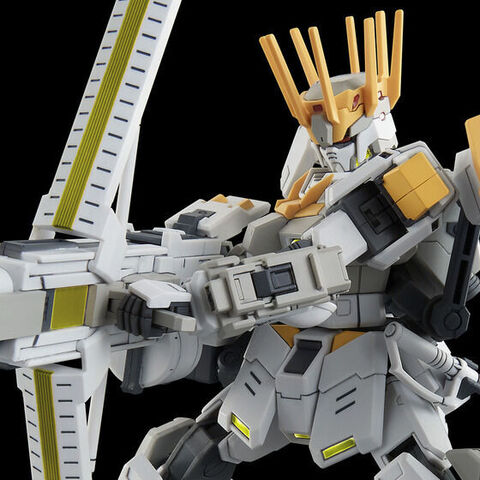 公認店 機動戦士ガンダム HGUC 1/144 ジオン専用 ペイルライダー 塗装