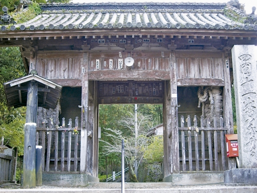 １１藤井寺