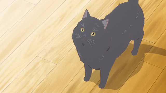 (C) Makoto Shinkai/CWF・彼女と彼女の猫EF製作委員会