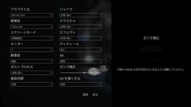 【Steamゲームレビュー】「Visage」