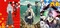 久米田康治のアニメ作品がプライムビデオ「アニメタイムズ」で配信初解禁！ 「さよなら絶望先生」「かってに改蔵」