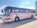 ヤドンがラッピングされた「ヤドンのフェリー」「ヤドンのバス」「ヤドンのお宿」が香川県に登場！