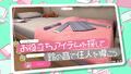 美少女同居型“ステルス”ADV「ノゾムキミノミライ」映像公開！ Switchで5月19日発売