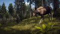 大自然でリアルな狩りを堪能！「Way of the Hunter　ウェイ オブ ザ ハンター」PS5／Xbox Series X|S／Steamで発売！