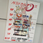 AKIBAカルチャーズZONEの3F/4F/5Fが一斉オープン、ジャンル多彩な全10店を紹介！