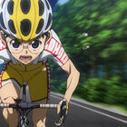 自転車競技アニメ「弱虫ペダル」、第2期のBD/DVDは2015年1月21日から全8巻でリリース！　新作マンガはスピンオフ巻島の第2弾
