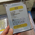 Western Digitalのエンタープライズ向けの高耐久HDD「WD Gold」が明日13日（金）発売
