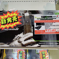 安価なGeForce GTX 1080 Tiビデオカード「M-NGTX1080TI/5RIHPPP」がManliから！ 実売9.7万円