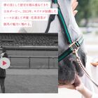【動画あり】人気声優・花澤香菜が競馬実況に初挑戦!?　東京競馬場で日本ダービーの熱気に触れるショートムービー公開