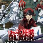 「はたらく細胞BLACK」、2021年1月TVアニメ化決定！ PV、キービジュアル＆メインスタッフ、キャストが一挙公開!!