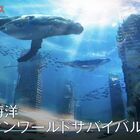 世界初の＜終末海洋＞サバイバルを実現！ NetEase Games「ミスティックアビス：遺失海域」最新PV公開！