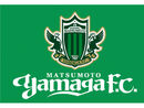 「松本山雅FC」とコラボしてほしいアニメ候補投票